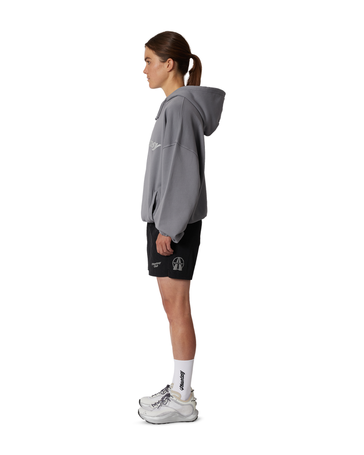 Phantasy Logo Hooded Sweatshirt Storm Front Grey hover media