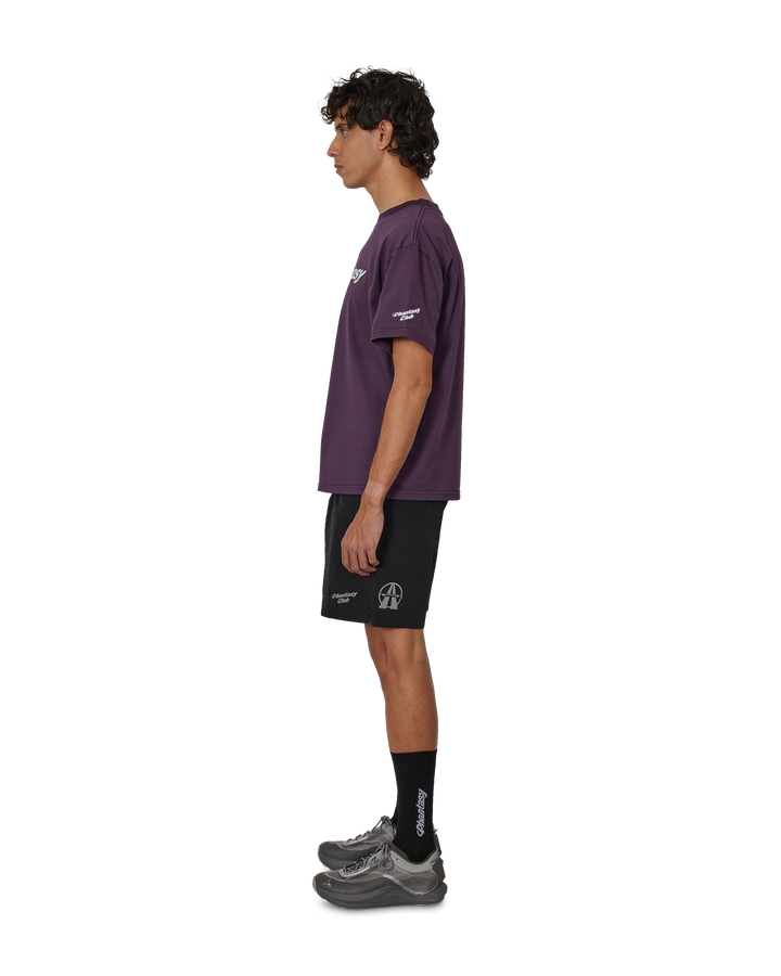 Phantasy Logo Tee Purple hover media